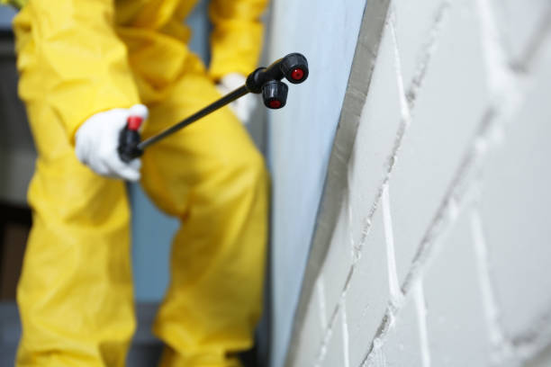 Best Real Estate Pest Inspections  in USA